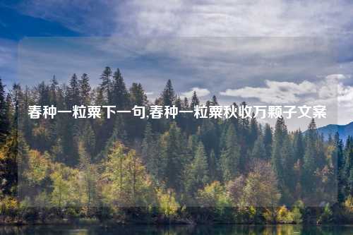 春种一粒粟下一句,春种一粒粟秋收万颗子文案