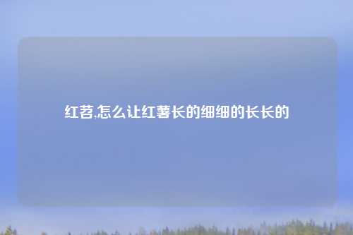 红苕,怎么让红薯长的细细的长长的