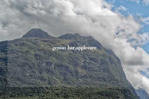 genius bar,applecare