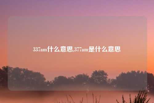 337am什么意思,377am是什么意思