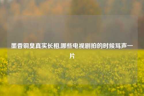 墨香铜臭真实长相,哪些电视剧拍的时候骂声一片