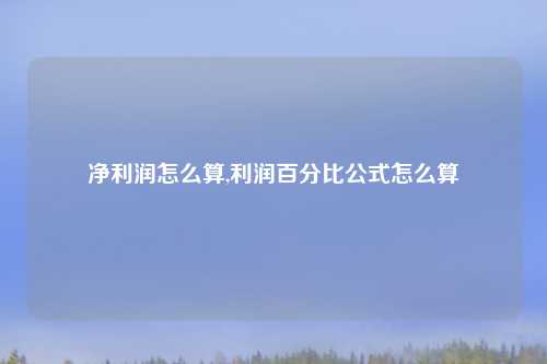 净利润怎么算,利润百分比公式怎么算