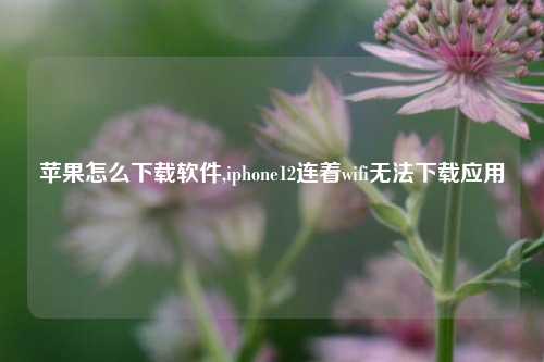 苹果怎么下载软件,iphone12连着wifi无法下载应用