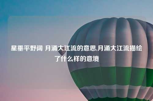 星垂平野阔 月涌大江流的意思,月涌大江流描绘了什么样的意境