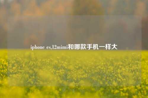 iphone es,12mimi和哪款手机一样大