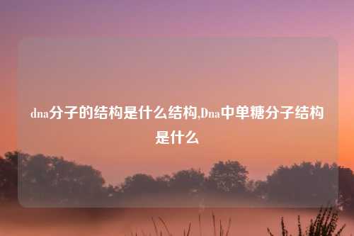 dna分子的结构是什么结构,Dna中单糖分子结构是什么