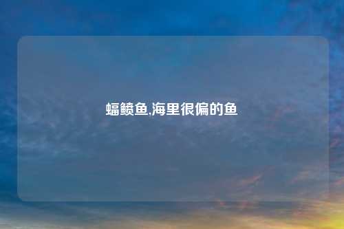 蝠鲼鱼,海里很偏的鱼