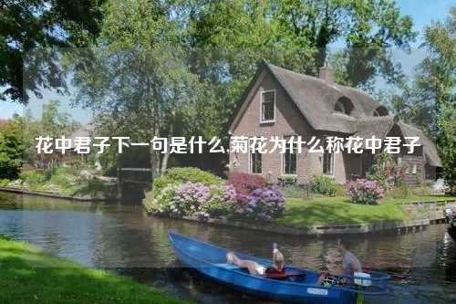 花中君子下一句是什么,菊花为什么称花中君子