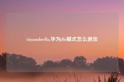 tinyumbrella,华为dfu模式怎么退出