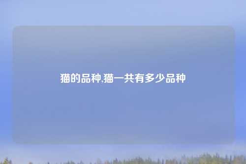 猫的品种,猫一共有多少品种