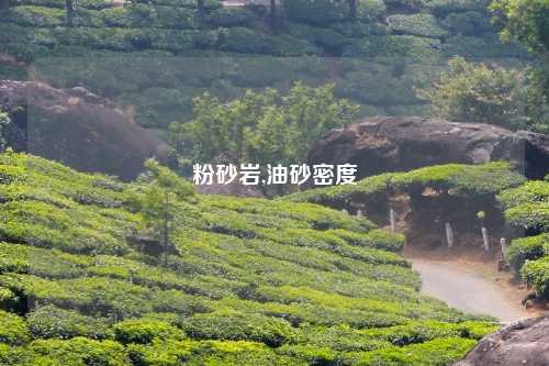 粉砂岩,油砂密度