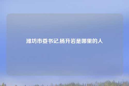 潍坊市委书记,杨升岩是哪里的人