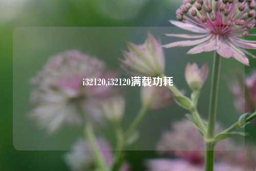 i32120,i32120满载功耗