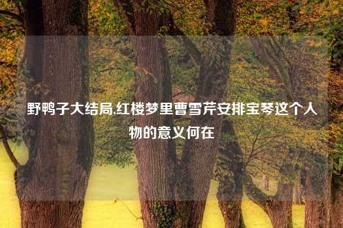 野鸭子大结局,红楼梦里曹雪芹安排宝琴这个人物的意义何在