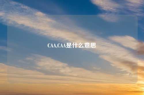 CAA,CAA是什么意思