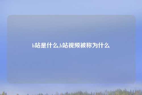 b站是什么,b站视频被称为什么