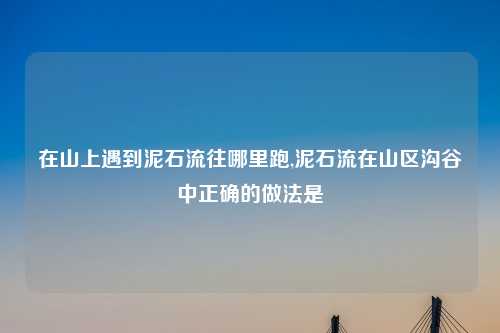 在山上遇到泥石流往哪里跑,泥石流在山区沟谷中正确的做法是