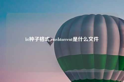 bt种子格式,rmvbtorrent是什么文件