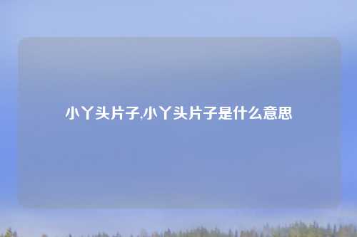 小丫头片子,小丫头片子是什么意思