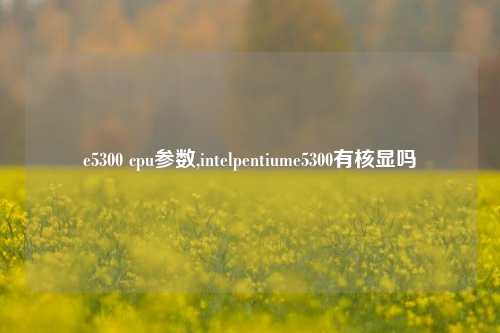 e5300 cpu参数,intelpentiume5300有核显吗