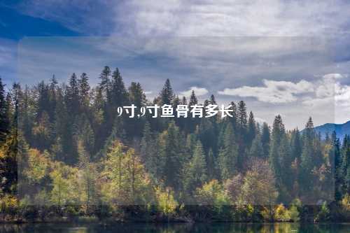 9寸,9寸鱼骨有多长