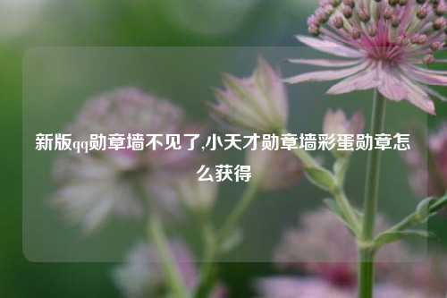 新版qq勋章墙不见了,小天才勋章墙彩蛋勋章怎么获得