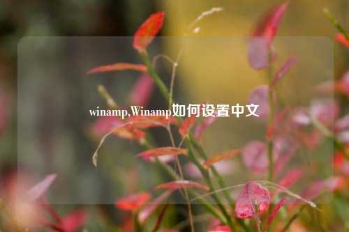 winamp,Winamp如何设置中文