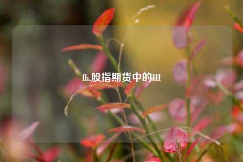 fh,股指期货中的IH