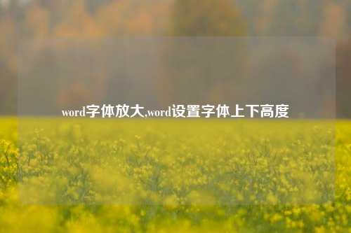 word字体放大,word设置字体上下高度