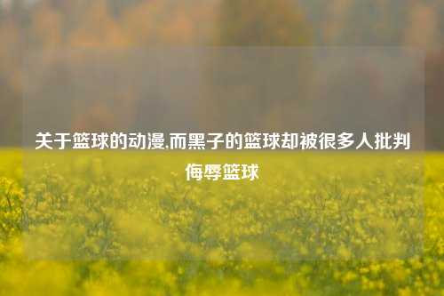 关于篮球的动漫,而黑子的篮球却被很多人批判侮辱篮球