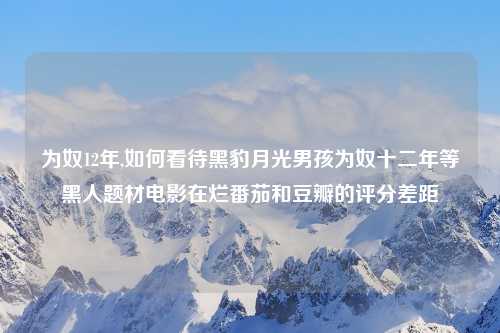 为奴12年,如何看待黑豹月光男孩为奴十二年等黑人题材电影在烂番茄和豆瓣的评分差距
