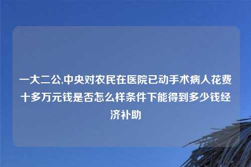 一大二公,中央对农民在医院已动手术病人花费十多万元钱是否怎么样条件下能得到多少钱经济补助