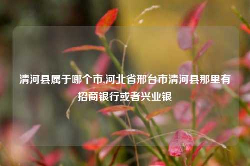 清河县属于哪个市,河北省邢台市清河县那里有招商银行或者兴业银