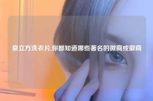 泉立方洗衣片,你都知道哪些著名的微商或徽商