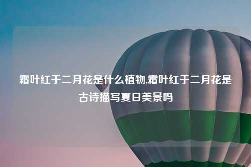 霜叶红于二月花是什么植物,霜叶红于二月花是古诗描写夏日美景吗