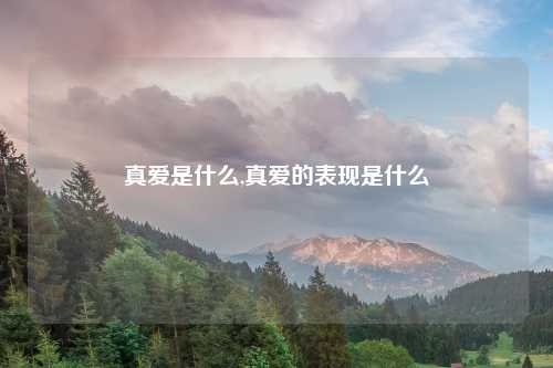 真爱是什么,真爱的表现是什么