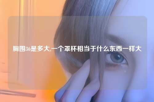 胸围36是多大,一个罩杯相当于什么东西一样大