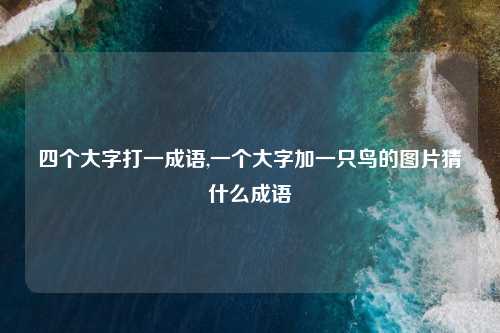 四个大字打一成语,一个大字加一只鸟的图片猜什么成语