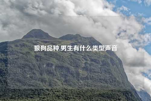 狼狗品种,男生有什么类型声音