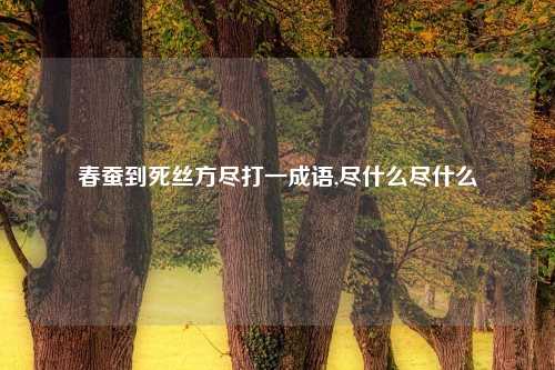 春蚕到死丝方尽打一成语,尽什么尽什么