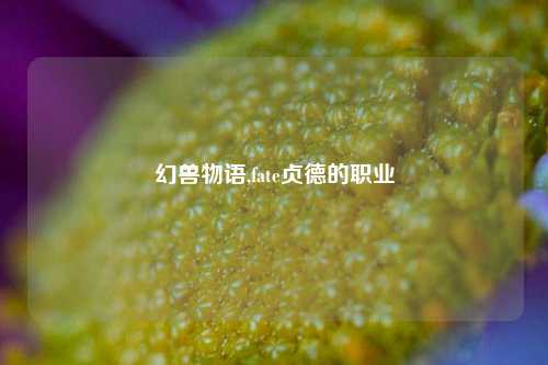 幻兽物语,fate贞德的职业
