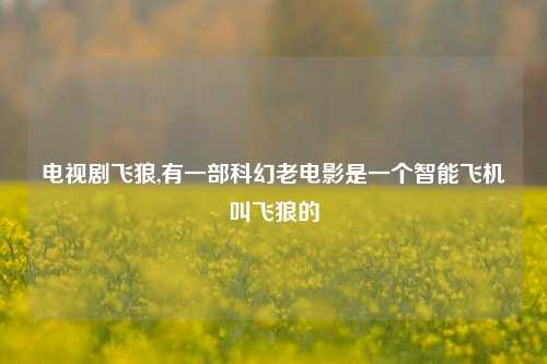 电视剧飞狼,有一部科幻老电影是一个智能飞机叫飞狼的