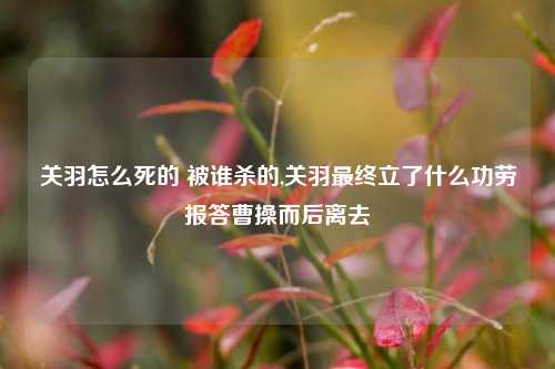 关羽怎么死的 被谁杀的,关羽最终立了什么功劳报答曹操而后离去