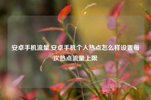 安卓手机流量,安卓手机个人热点怎么样设置每次热点流量上限