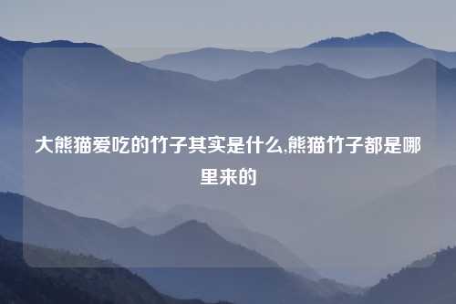 大熊猫爱吃的竹子其实是什么,熊猫竹子都是哪里来的