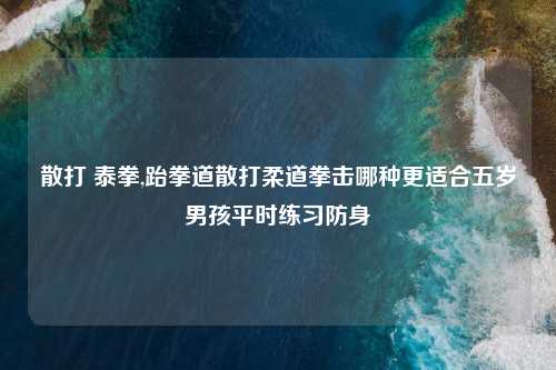 散打 泰拳,跆拳道散打柔道拳击哪种更适合五岁男孩平时练习防身