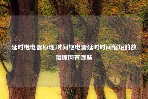 延时继电器原理,时间继电器延时时间缩短的故障原因有哪些