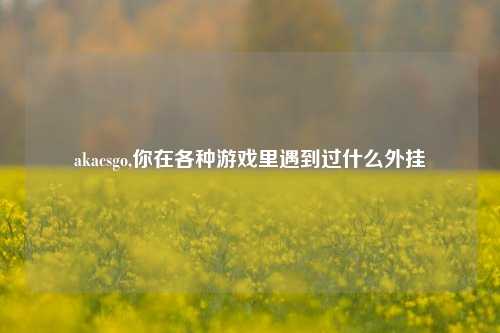 akacsgo,你在各种游戏里遇到过什么外挂