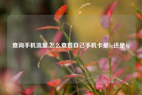 查询手机流量,怎么查看自己手机卡是5g还是4g