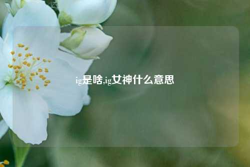 ig是啥,ig女神什么意思